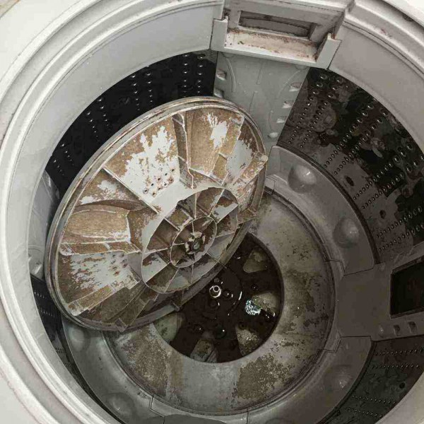 洗衣机为什么有异味 